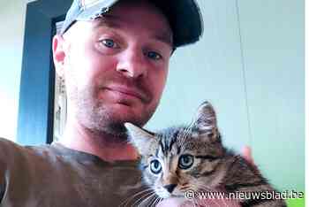 Attente dierenvriend redt doodzieke kitten van verstikkingsdood in dichtgeknoopte plastic zak