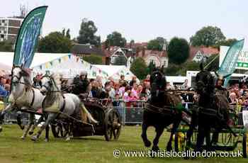 Future of Epping Forest Festival in doubt a decade ago