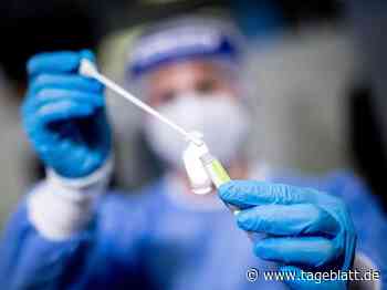 Keine täglichen Tests mehr für Schüler in Niedersachsen - Landkreis Stade - Tageblatt-online