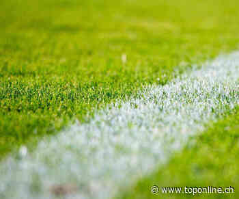 Schaffhausen verliert gegen Stade Lausanne Ouchy - TOP ONLINE - TOP ONLINE