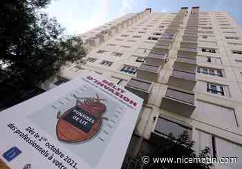 Comment la ville de Nice veut éradiquer la punaise de lit de la commune