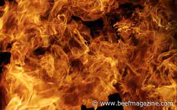 Fire at JBS Grand Island beef plant suspends operations