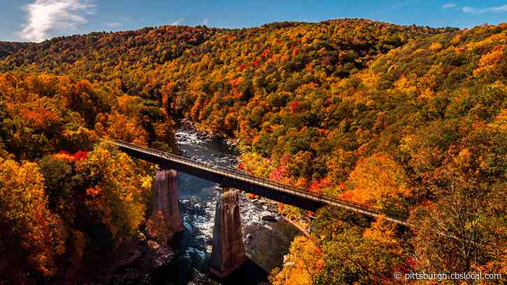Laurel Highlands Named One Of The Nation’s Best Fall Foliage Destinations