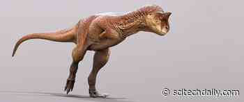 Paleontologists Reconstruct One of the Strangest Carnivorous Dinosaurs Ever Discovered