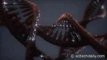 Unexpected Snippets of Genetic Material From Viruses Found Lurking in Our DNA