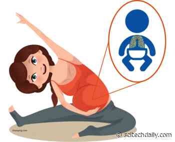 Exercise During Pregnancy Linked to Improved Lung Function in Offspring