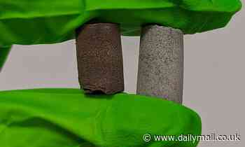 Concrete made from space dust and astronauts' 'blood' could be used to build houses on Mars