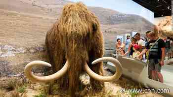 Scientists want to resurrect the woolly mammoth. They just got the money to make it happen