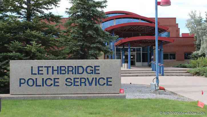 Officers attend to cougar incident in north Lethbridge - Lethbridge News Now