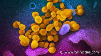 Coronavirus Monday update: 11 more Minnesota deaths and 2,693 new infections - TwinCities.com-Pioneer Press