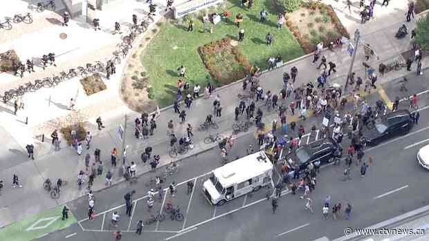 'It's terrifying': Police on hand as pandemic protesters picket hospitals