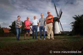 Molenvrienden willen Kaulille opnieuw samen brood leren bak... (Bocholt) - Het Nieuwsblad