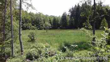 Helfen beim Abheuen - Süddeutsche Zeitung
