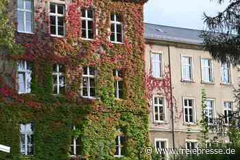 Geld für mehr grüne Fassaden - Freie Presse