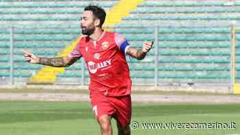 L'Ancona Matelica verso la trasferta di Grosseto: assente Moretti per squalifica - Vivere Camerino