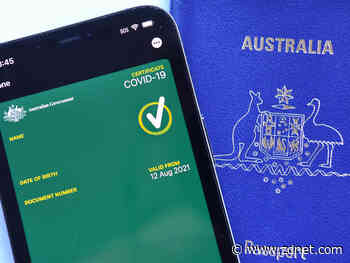 Labor says government's digital vaccine passport is six months behind schedule