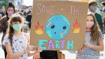 Climate change and the election: Compare party platforms