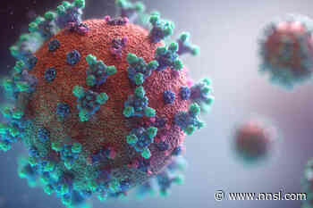 Aurora College classes go online due to outbreaks in Northwest Territories - Northern News Services