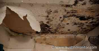 Code takes a step to address mold complaints - Austin Monitor