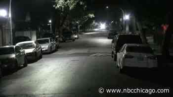 16-Year-Old Shot While Walking Dog in South Austin - NBC Chicago