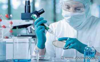 Covid, le scuole sentinella sono 3: a Frosinone, Cassino e Sora - ciociariaoggi.it