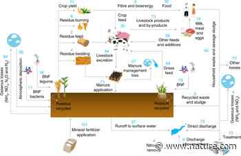 Reconciling regional nitrogen boundaries with global food security - Nature.com