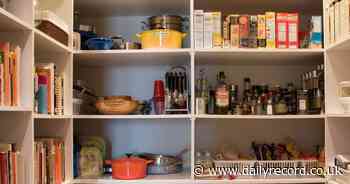 Woman’s meticulous food cupboard sparks debate over where one item should be kept - Daily Record