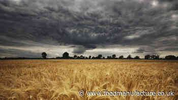 How can food systems improve? - FoodManufacture.co.uk