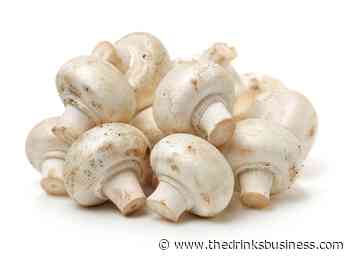 Food waste mushrooms help make longer lasting vegan beer - The Drinks Business