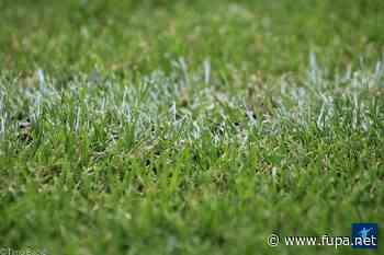 Nidda zurück aus der Corona-Pause - FuPa - FuPa - das Fußballportal