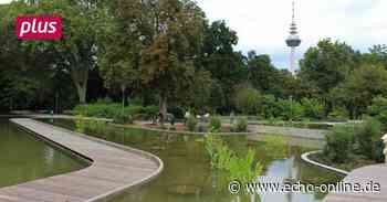 Mannheim: Biologisches Filtersystem im Seerosenbecken - Echo Online