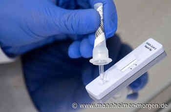 Mehr als 375 Corona-Fälle bei Ungeimpften in Mannheim - Inzidenz in Heidelberg weiter steigend - Metropolregion - Mannheimer Morgen