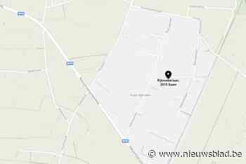 Rijkmakerlaan op de schop voor nieuw wegdek