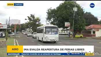 IMA evalúa reapertura de las ferias libres - Panamá - TVN Noticias