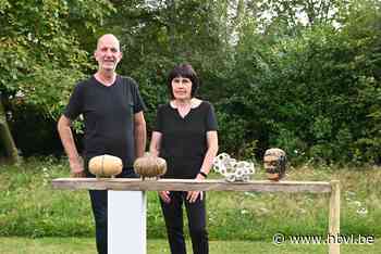 Kunstkring Kosmos stelt werken tentoon op kunstroute (Lommel) - Het Belang van Limburg Mobile - Het Belang van Limburg