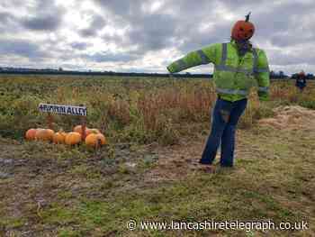 Lancashire pumpkin patch slammed for introducing booking fee
