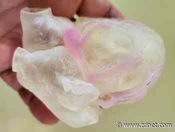 Stratasys expands 3D printed anatomical modeling efforts