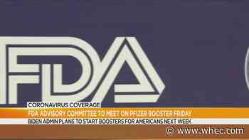 FDA to talk Pfizer booster, as some experts doubt immediate need