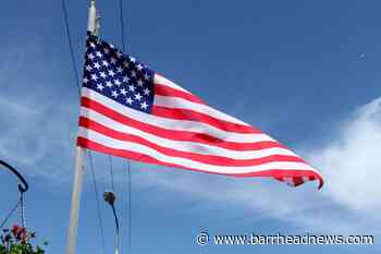 Falling cat saved with flag at Miami football game - Barrhead News