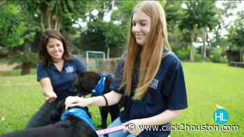 Local teen finds creative way to help heartworm-positive dogs at Houston Humane Society - KPRC Click2Houston