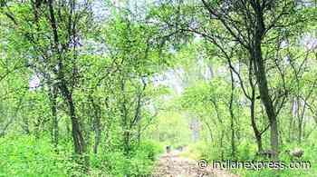Karnataka Forest Department refuses nod to road passing through Talacauvery Wildlife Sanctuary - The Indian Express