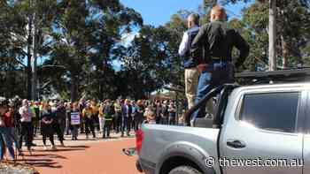 WA's native forest industry to push for a better package after plan to axe industry - The West Australian