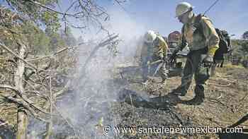 Forest Service plans prescribed burns for fall, winter - Santa Fe New Mexican
