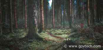 As Cyber Money Comes in, Don't Miss the Forest for the Trees - Government Technology