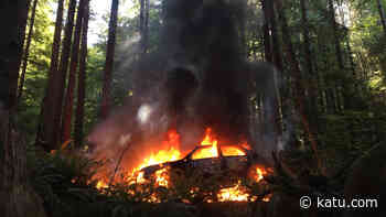 Stolen car set on fire along forest road, almost igniting wildfire in Tillamook County - KATU