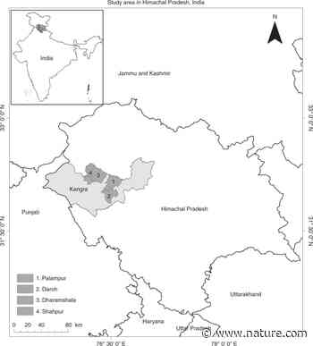 Limited effects of tree planting on forest canopy cover and rural livelihoods in Northern India - Nature.com