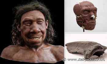Scientists reconstruct the face of a Neanderthal with a tumour above his eyebrow