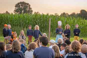 Chiro Loon vliegt er weer in (Borgloon) - Het Belang van Limburg Mobile - Het Belang van Limburg