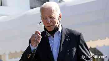 Biden ancestors owned enslaved people, genealogist says