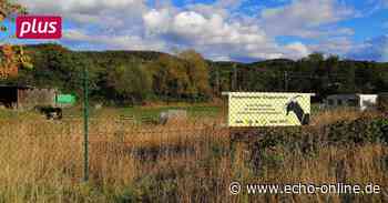 Neuer Anlauf in Sachen Hundewiese in Heppenheim - Echo Online